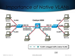530
Importance of Native VLANs
 