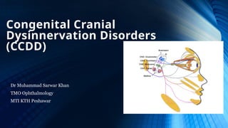 Congenital Cranial Dysinnervation Disorders (CCDD).pptx