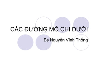 CÁC ĐƯỜNG MỔ CHI DƯỚI
Bs Nguyễn Vĩnh Thống
 