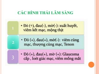 CÁC HÌNH THÁI LÂM SÀNG
 