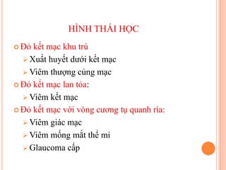 HÌNH THÁI HỌC
 Đỏ kết mạc khu trú
 Xuất huyết dưới kết mạc
 Viêm thượng củng mạc
 Đỏ kết mạc lan tỏa:
 Viêm kết mạc
 Đỏ kết mạc với vòng cương tụ quanh rìa:
 Viêm giác mạc
 Viêm mống mắt thể mi
 Glaucoma cấp
 