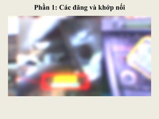 Phần 1: Các đăng và khớp nối
 