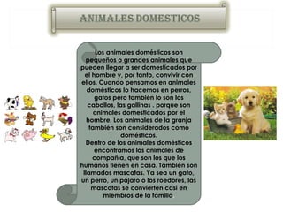 Los animales domésticos son
  pequeños o grandes animales que
pueden llegar a ser domesticados por
  el hombre y, por tanto, convivir con
ellos. Cuando pensamos en animales
   domésticos lo hacemos en perros,
      gatos pero también lo son los
   caballos, las gallinas . porque son
      animales domesticados por el
   hombre. Los animales de la granja
    también son considerados como
              domésticos.
  Dentro de los animales domésticos
      encontramos los animales de
     compañía, que son los que los
humanos tienen en casa. También son
 llamados mascotas. Ya sea un gato,
un perro, un pájaro o los roedores, las
     mascotas se convierten casi en
         miembros de la familia.
 