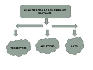 CLASIFICACION DE LOS ANIMALES
                  SALVAJES




                   ACUATICOS            AVES
TERRESTRES
 