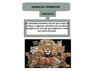 ANIMALES TERRESTRE

                CONCEPTO


Los animales terrestres son los que viven en
 la tierra y algunos animales que se dicen
salvajes no lo son por que algunos si viven
              con seres humano
 