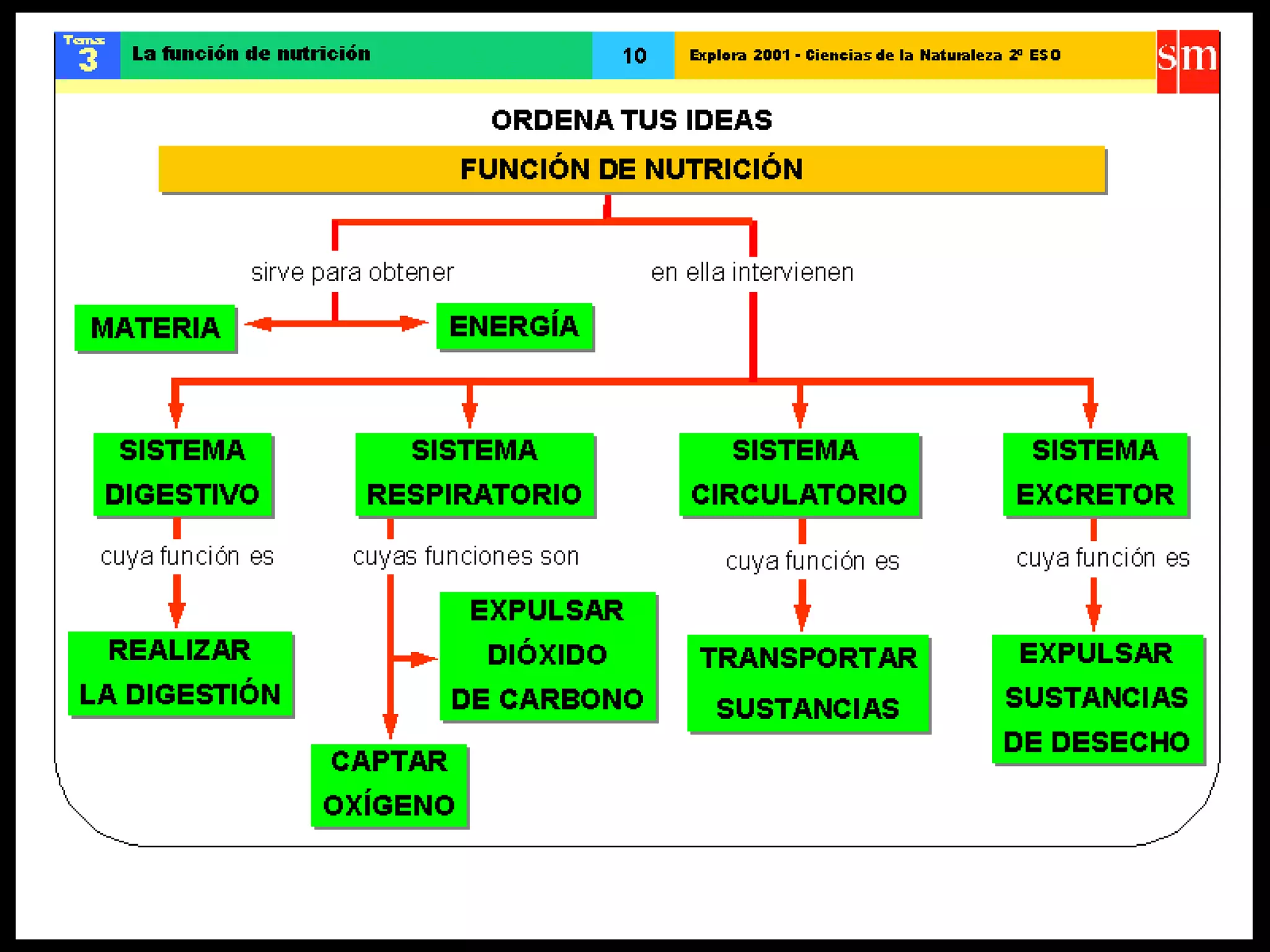 Ccnn la funcion de nutricion