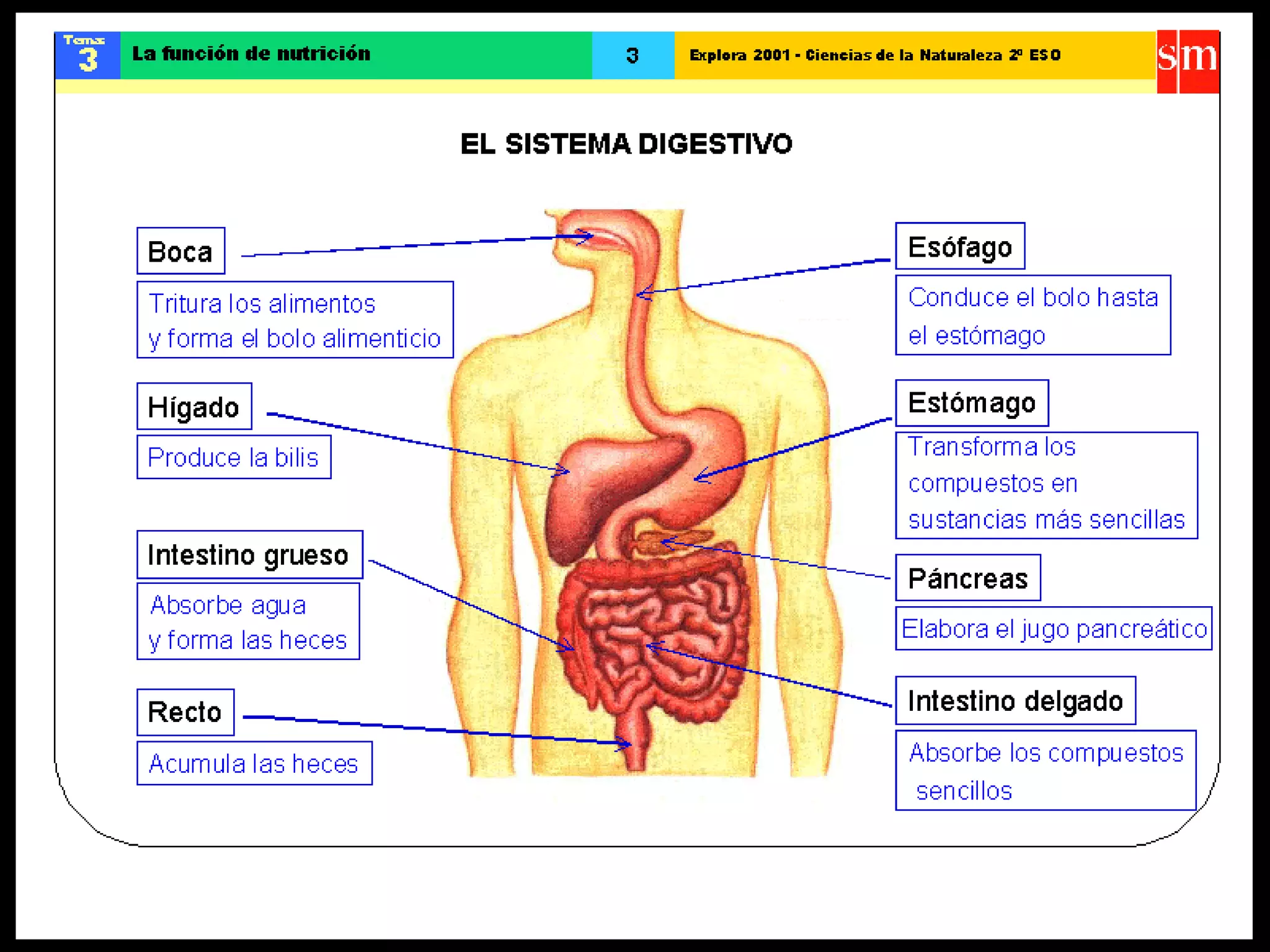 Ccnn la funcion de nutricion