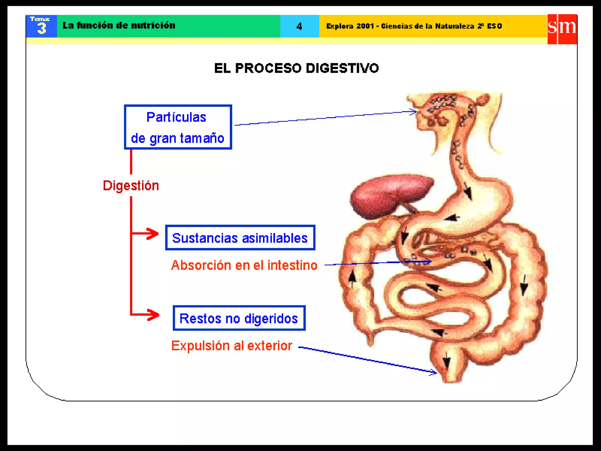 Ccnn la funcion de nutricion