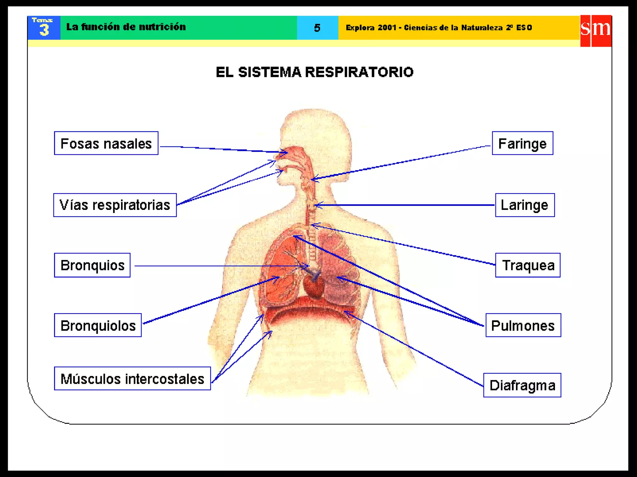 Ccnn la funcion de nutricion