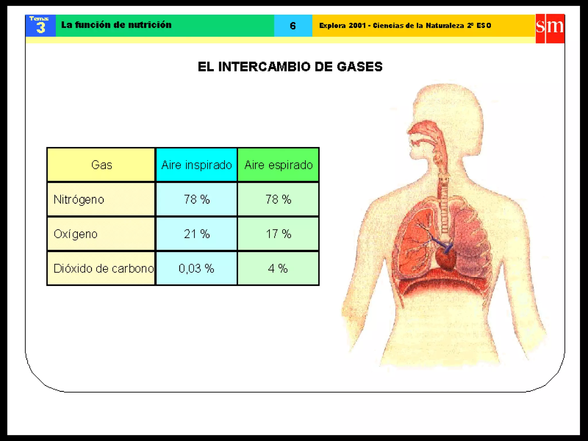 Ccnn la funcion de nutricion