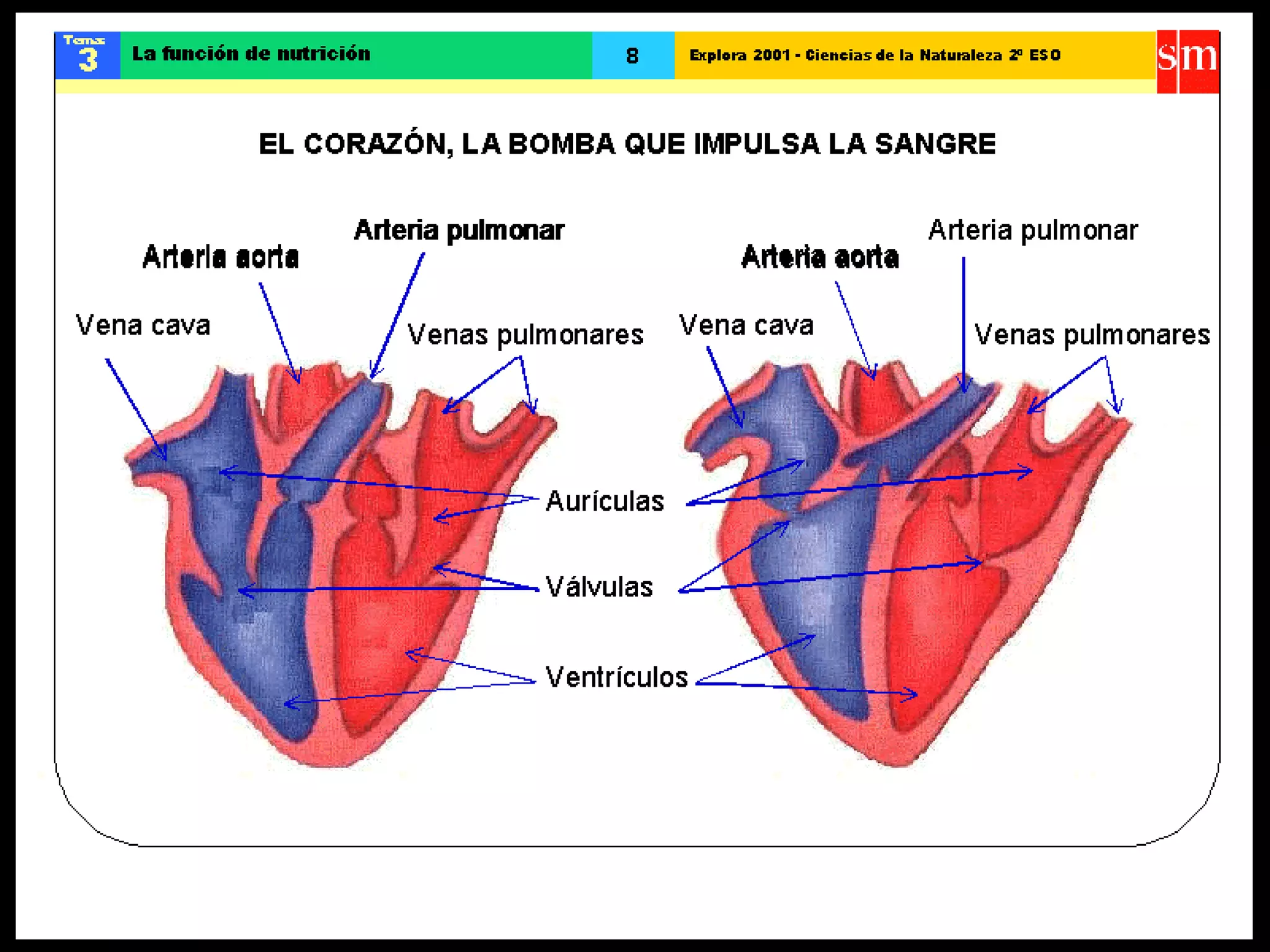 Ccnn la funcion de nutricion