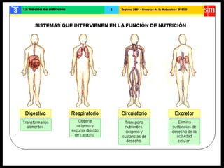 Ccnn la funcion de nutricion