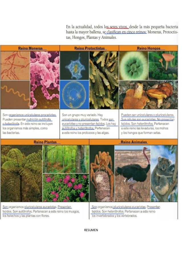 Comprensión lectora Texto expositivo de Ciencias Naturales.