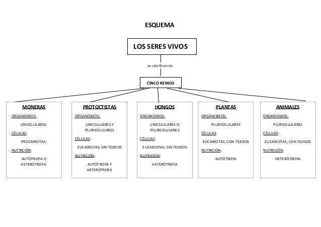 Comprensión lectora Texto expositivo de Ciencias Naturales.