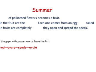 Summer The  of pollinated flowers becomes a fruit.  Inside the fruit are the  Each one comes from an egg  called  . When fruits are completely  they open and spread the seeds.  Fill in the gaps with proper words from the list: ripened—ovary—seeds—ovule 