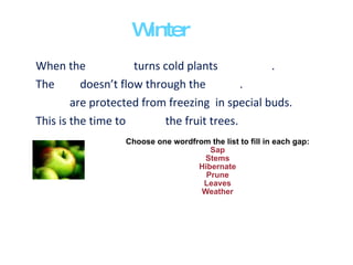 When the  turns cold plants  . The  doesn’t flow through the  . are protected from freezing  in special buds. This is the time to  the fruit trees. Choose one wordfrom the list to fill in each gap: Sap Stems Hibernate Prune Leaves Weather Winter 