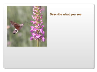 Describe what you see 