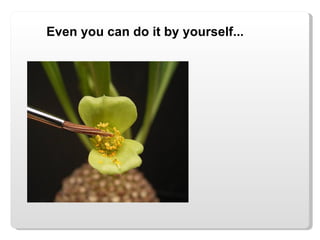 Even you can do it by yourself... 