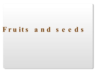 Fruits and seeds 