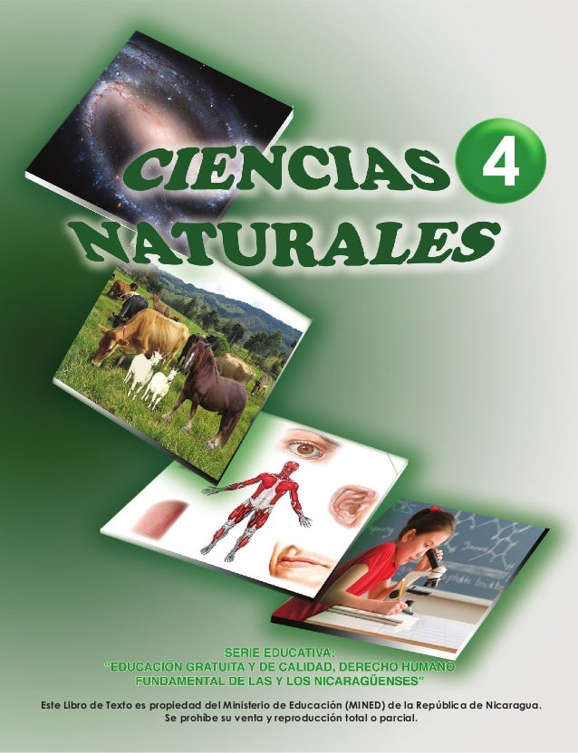 Ccnn 4 To