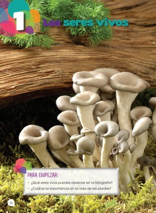 PARA EMPEZAR:
•	¿Qué seres vivos puedes observar en la fotografía?
•	¿Cuál es la importancia en la vida de las plantas?
Prohibida
su
reproducción
10
 