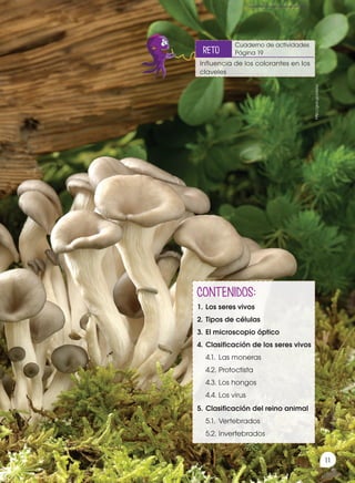 CONTENIDOS:
1.	Los seres vivos
2.	Tipos de células
3.	El microscopio óptico
4.	Clasificación de los seres vivos
4.1.	 Las moneras
4.2.	Protoctista
4.3.	Los hongos
4.4.	Los virus
5.	Clasificación del reino animal
5.1.	 Vertebrados
5.2.	Invertebrados
Prohibida
su
reproducción
11
http://goo.gl/zulyoJ
Cuaderno de actividades
Página 19
Influencia de los colorantes en los
claveles
reto
 