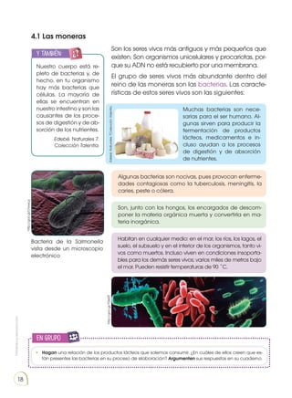 Prohibida
su
reproducción
18
4.1 Las moneras
Nuestro cuerpo está re-
pleto de bacterias y, de
hecho, en tu organismo
hay más bacterias que
células. La mayoría de
ellas se encuentran en
nuestro intestino y son las
causantes de los proce-
sos de digestión y de ab-
sorción de los nutrientes.
Edebé. Naturales 7.
Colección Talentia.
y también:
E
N
G
R
UPO
Y
T
A
M
B
IÉN:
T
I
C
S
R
E
C
O
R
T
A
BLES
C
A
L
C
U
L
A
DORA
Son los seres vivos más antiguos y más pequeños que
existen. Son organismos unicelulares y procariotas, por-
que su ADN no está recubierto por una membrana.
El grupo de seres vivos más abundante dentro del
reino de las moneras son las bacterias. Las caracte-
rísticas de estos seres vivos son las siguientes:
Muchas bacterias son nece-
sarias para el ser humano. Al-
gunas sirven para producir la
fermentación de productos
lácteos, medicamentos e in-
cluso ayudan a los procesos
de digestión y de absorción
de nutrientes.
Algunas bacterias son nocivas, pues provocan enferme-
dades contagiosas como la tuberculosis, meningitis, la
caries, peste o cólera.
Son, junto con los hongos, los encargados de descom-
poner la materia orgánica muerta y convertirla en ma-
teria inorgánica.
Habitan en cualquier medio: en el mar, los ríos, los lagos, el
suelo, el subsuelo y en el interior de los organismos, tanto vi-
vos como muertos. Incluso viven en condiciones insoporta-
bles para los demás seres vivos; varios miles de metros bajo
el mar. Pueden resistir temperaturas de 90 ˚C.
Bacteria de la Salmonella
vista desde un microscopio
electrónico
en grupo
E
N
G
R
UPO
Y
T
A
M
B
IÉN
T
I
C
S
R
E
C
O
R
T
A
BLES
C
A
L
C
U
L
A
DORA
•	 Hagan una relación de los productos lácteos que solemos consumir. ¿En cuáles de ellos creen que es-
tán presentes las bacterias en su proceso de elaboración? Argumenten sus respuestas en su cuaderno.
http://goo.gl/LYwwLp
http://goo.gl/Y0e5tT
Edebé.
Naturales
7Colección
Talentia.
 