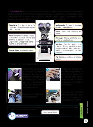 Prohibida
su
reproducción
15
El microscopio es un instrumento óptico que sirve para ampliar la imagen y
poder apreciar elementos muy pequeños que no podemos ver a simple vista.
Consta de varias lentes que permiten obtener una imagen aumentada. Pue-
den aumentar de 100 a unas 2500 veces el tamaño original.
Empleamos al microscopio de la siguiente manera:
4.	 ¿Cómo son los microscopios ópticos más potentes del mundo? ¿Qué podemos ver con ellos? Inves-
tiga sobre ello en el siguiente enlace.
Actividades
Lente ocular: Aumenta la imagen
que llega del objetivo.
Pie: Base que sostiene el micros-
copio.
Objetivos: Son las lentes más
próximas al objeto que quere-
mos observar.
Revólver: Pieza giratoria que
sostiene los objetivos.
Brazo: Pieza que sostiene las
lentes.
Platina: Pieza donde se coloca
la muestra. Tiene un orificio que
permite el paso de la luz.
Dispone de unas pinzas para
sujetar la preparación. Tornillos: Permiten enfocar la
imagen. El macrométrico para
un enfoque rápido y el micro-
métrico para un enfoque más
preciso.
Fuente de luz: Ilumina la muestra.
Colocamos la muestra
de lo que queremos
observar en un por-
taobjetos (rectángulo
de vidrio) y cubrimos
con un cubreobjetos
(trozo de vidrio de 1
mm de espesor).
Situamos el portaobje-
tos en la platina.
Giramos el revólver, se-
leccionamos primero la
lente de menor aumen-
to. Una vez que ya he-
mos centrado el objeti-
vo, podemos modificar
el aumento.
Giramos los tornillos
para enfocar con pre-
cisión la imagen y vi-
sualizarla con nitidez.
1
2
3
4
Del cuaderno de
actividades
p. 11
Imágenes
tomadas
de
Edebé.
Naturales
7.
Colección
Talentia.
https://goo.gl/kmvwM2
https://goo.gl/jQCssF
 