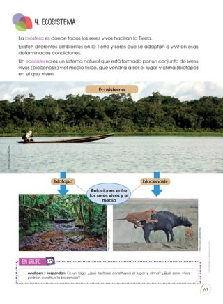 Prohibida
su
reproducción
63
en grupo
E
N
G
R
UPO
Y
T
A
M
B
IÉN
T
I
C
S
R
E
C
O
R
T
A
BLES
C
A
L
C
U
L
A
DORA
4. Ecosistema
La biósfera es donde todos los seres vivos habitan la Tierra.
Existen diferentes ambientes en la Tierra y seres que se adaptan a vivir en esas
determinadas condiciones.
Un ecosistema es un sistema natural que está formado por un conjunto de seres
vivos (biocenosis) y el medio físico, que vendría a ser el lugar y clima (biotopo)
en el que viven.
•	 Analicen y respondan: En un lago, ¿qué factores constituyen el lugar y clima? ¿Qué seres vivos
podrían constituir la biocenosis?
Ecosistema
http://goo.gl/41udSC
http://goo.gl/DGtlun
http://goo.gl/s0GYkp
biotopo biocenosis
Relaciones entre
los seres vivos y el
medio
 