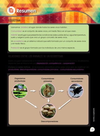 Prohibida
su
reproducción
75
Resumen
Llamamos biósfera al lugar donde todos los seres vivos habitan.
Comunidad es el conjunto de seres vivos y el medio físico en el que viven.
Hábitat es el lugar que presenta las condiciones adecuadas de luz, agua temperatura,
suelo y oxígeno para que viva un grupo concreto de seres vivos.
Un ecosistema es un sistema natural que está formado por un conjunto de seres vivos
y el medio físico.
Población es el grupo formado por los individuos de una misma especie.
RELACIONES ENTRE LOS ANIMALES DE UN ECOSISTEMA
Ecosistema
Existe una gran variedad de animales tanto dentro de una misma especie como de diferentes
especies que se relacionan por depredación, competencia y cooperación.
Cadena y redes tróficas: Es la relación alimenticia entre seres vivos que se clasifican en
productores, descomponedores, consumidores primarios y consumidores secundarios.
h
t
t
p
:
/
/
g
o
o
.
g
l
/
kH3pXe
h
t
t
p
:
/
/
g
o
o
.
g
l
/
6NNtwu
h
t
t
p
:
/
/
g
o
o
.
g
l
/
TvCdyn
h
t
t
p
s
:
/
/
g
o
o
.
g
l
/Jy0Ryl
Organismos
productores
Consumidores
primarios
Descomponedores
Consumidores
secundarios
 