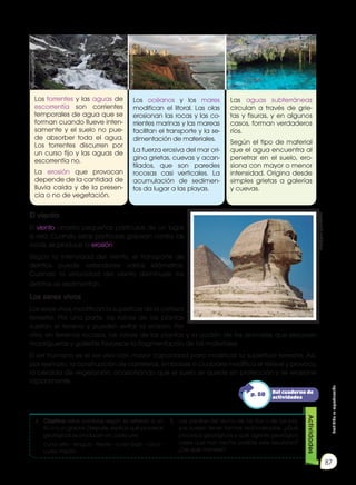 Prohibida
su
reproducción
87
El viento
El viento arrastra pequeñas partículas de un lugar
a otro. Cuando estas partículas golpean contra las
rocas, se produce la erosión.
Según la intensidad del viento, el transporte de
detritos puede extenderse varios kilómetros.
Cuando la velocidad del viento disminuye, los
detritos se sedimentan.
Los seres vivos
Los seres vivos modifican la superficie de la corteza
terrestre. Por una parte, las raíces de las plantas
sujetan el terreno y pueden evitar la erosión. Por
otra, en terrenos rocosos, las raíces de las plantas y la acción de los animales que excavan
madrigueras y galerías favorece la fragmentación de los materiales.
El ser humano es el ser vivo con mayor capacidad para modificar la superficie terrestre. Así,
por ejemplo, la construcción de carreteras, embalses o ciudades modifica el relieve y provoca
la pérdida de vegetación, ocasionando que el suelo se quede sin protección y se erosione
rápidamente.
4.	 Clasifica estas palabras según se refieran a un
río o a un glaciar. Después, explica qué procesos
geológicos se producen en cada uno.
	 curso alto - lengua - frente - curso bajo - circo -
curso medio
5.	 Las piedras del lecho de los ríos o de las pla-
yas suelen tener formas redondeadas. ¿Qué
procesos geológicos y qué agente geológico
crees que han hecho posible este resultado?
¿De qué manera?
Actividades
Los torrentes y las aguas de
escorrentía son corrientes
temporales de agua que se
forman cuando llueve inten-
samente y el suelo no pue-
de absorber toda el agua.
Los torrentes discurren por
un curso fijo y las aguas de
escorrentía no.
La erosión que provocan
depende de la cantidad de
lluvia caída y de la presen-
cia o no de vegetación.
Los océanos y los mares
modifican el litoral. Las olas
erosionan las rocas y las co-
rrientes marinas y las mareas
facilitan el transporte y la se-
dimentación de materiales.
La fuerza erosiva del mar ori-
gina grietas, cuevas y acan-
tilados, que son paredes
rocosas casi verticales. La
acumulación de sedimen-
tos da lugar a las playas.
Las aguas subterráneas
circulan a través de grie-
tas y fisuras, y en algunos
casos, forman verdaderos
ríos.
Según el tipo de material
que el agua encuentra al
penetrar en el suelo, ero-
siona con mayor o menor
intensidad. Origina desde
simples grietas a galerías
y cuevas.
http://goo.gl/HY1VSl
https://goo.gl/d55QY2
http://goo.gl/dT097F
http://goo.gl/oDA347
Del cuaderno de
actividades
p. 50
 