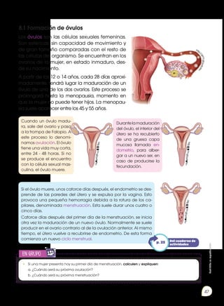 Prohibida
su
reproducción
47
8.1 Formación de óvulos
Los óvulos son las células sexuales femeninas.
Son esféricas, sin capacidad de movimiento y
de gran tamaño comparadas con el resto de
las células del organismo. Se encuentran en los
ovarios de la mujer, en estado inmaduro, des-
de su nacimiento.
A partir de los 12 o 14 años, cada 28 días aproxi-
madamente, tendrá lugar la maduración de un
óvulo de uno de los dos ovarios. Este proceso se
prolongará hasta la menopausia, momento en
que la mujer no puede tener hijos. La menopau-
sia suele aparecer entre los 45 y 55 años.
Cuando un óvulo madu-
ra, sale del ovario y pasa
a la trompa de Falopio. A
este proceso lo denomi-
namos ovulación. El óvulo
tiene una vida muy corta,
entre 24 - 48 horas. Si no
se produce el encuentro
con la célula sexual mas-
culina, el óvulo muere.
Durantelamaduración
del óvulo, el interior del
útero se ha recubierto
de una gruesa capa
mucosa llamada en-
dometrio, para alber-
gar a un nuevo ser, en
caso de producirse la
fecundación.
Si el óvulo muere, unos catorce días después, el endometrio se des-
prende de las paredes del útero y se expulsa por la vagina. Esto
provoca una pequeña hemorragia debida a la rotura de los ca-
pilares, denominada menstruación. Esta suele durar unos cuatro o
cinco días.
Catorce días después del primer día de la menstruación, se inicia
otra vez la maduración de un nuevo óvulo. Normalmente se suele
producir en el ovario contrario al de la ovulación anterior. Al mismo
tiempo, el útero vuelve a recubrirse de endometrio. De esta forma
comienza un nuevo ciclo menstrual.
http:/
/
g
o
o
.
g
l
/
p
r
R
v
N
u
h
t
t
p
:
/
/
g
o
o
.
g
l
/
p
r
R
v
N
u
h
t
t
p
:
/
/
g
o
o
.
g
l
/
p
r
R
v
N
u
h
t
t
p
:
/
/
g
o
o
.
g
l
/
p
r
R
v
N
u
en grupo
E
N
G
R
UPO
Y
T
A
M
B
IÉN
T
I
C
S
R
E
C
O
R
T
A
BLES
C
A
L
C
U
L
A
DORA
•	 Si una mujer presenta hoy su primer día de menstruación, calculen y expliquen:
	 a. ¿Cuándo será su próxima ovulación?
	 b. ¿Cuándo será su próxima menstruación?
Del cuaderno de
actividades
p. 25
 