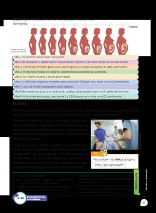 Prohibida
su
reproducción
51
Observa la evolución de un embarazo mes a mes:
El parto
El parto suele producirse al final del noveno mes del embarazo, cuando el feto
está totalmente formado. Es el nacimiento de un nuevo ser humano.
semanas
meses
Mes 1: El embrión tiene forma alargada.
Mes 2: Se empiezan a diferenciar la mayoría de los órganos. El embrión recibe el nombre de feto.
Mes 3: Al final del trimestre pesa unos veinte gramos y mide alrededor de diez centímetros.
Mes 4: El feto tiene todos los órganos desarrollados excepto los pulmones.
Mes 5: Se mueve mucho y se chupa el dedo.
Mes 6: Al final del segundo trimestre pesa cerca de 900 gramos y mide unos 32 centímetros.
Mes 7: Los pulmones se preparan para respirar.
Mes 8: Se mueve muy poco y se va situando cabeza abajo para encajar con la pelvis de la madre.
Mes 9: Al final del embarazo pesa entre 3 y 3,5 kilogramos y mide unos 50 centímetros.
Durante el parto el útero y la vagina se ensan-
chan mientras la cabeza del feto presiona para
salir. En el momento del nacimiento, primero apa-
rece la cabeza, luego un hombro y rápidamente
el resto del cuerpo.
Una vez que ha salido el bebé, el médico cor-
ta el cordón umbilical y, por último, tiene lugar
la expulsión de la placenta. El recién nacido se
alimentará con la leche materna y junto con la
madre, estará bajo vigilancia médica unos días
para comprobar que su desarrollo es correcto.
Para saber más visita la página:
TIC
E
N
G
R
UPO
Y
T
A
M
B
IÉN
T
I
C
S
R
E
C
O
R
T
A
BLES
C
A
L
C
U
L
A
DORA
http://goo.gl/oesyrN
En tu cuaderno responde:
16.	
¿En qué momento empieza el embarazo?
¿Cuándo termina? ¿Cuánto dura?
17.	Explica cómo recibe el embrión el alimento ne-
cesario para su crecimiento y su desarrollo.
18.	Busca información sobre la cesárea: en qué
consiste y cuándo se ha de practicar. Explícalo
en tu cuaderno.
19.	El ser humano es vivíparo, puesto que sus crías
se desarrollan en el interior de la madre. ¿Re-
cuerdas qué eran los ovíparos?
Actividades
Del cuaderno de
actividades
p. 26
Edebé. Naturales 7.
Colección Talentia.
http://goo.gl/sEKCfR
 