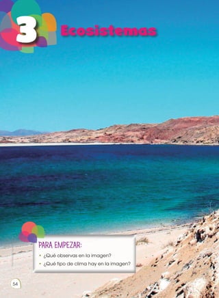 PARA EMPEZAR:
•	¿Qué observas en la imagen?
•	¿Qué tipo de clima hay en la imagen?
Prohibida
su
reproducción
54
 