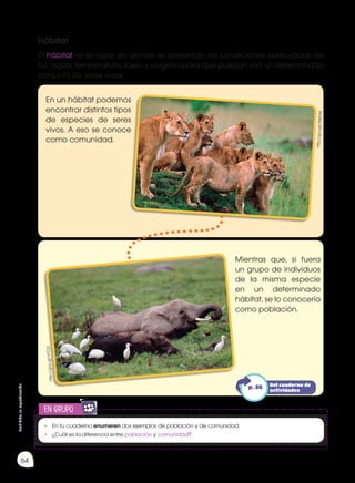 Prohibida
su
reproducción
64
en grupo
E
N
G
R
UPO
Y
T
A
M
B
IÉN
T
I
C
S
R
E
C
O
R
T
A
BLES
C
A
L
C
U
L
A
DORA
Hábitat
El hábitat es el lugar en donde se presentan las condiciones adecuadas de
luz, agua, temperatura, suelo y oxígeno para que puedan vivir un determinado
conjunto de seres vivos.
•	 En tu cuaderno enumeren dos ejemplos de población y de comunidad.
•	 ¿Cuál es la diferencia entre población y comunidad?
En un hábitat podemos
encontrar distintos tipos
de especies de seres
vivos. A eso se conoce
como comunidad.
Mientras que, si fuera
un grupo de individuos
de la misma especie
en un determinado
hábitat, se lo conocería
como población.
http
://g
oo.
gl/3
9kE
A4
ht
tp
://
go
o.g
l/V
rTC
jU
Del cuaderno de
actividades
p. 36
 