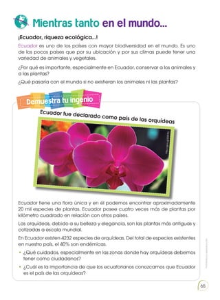 Prohibida
su
reproducción
65
Mientras tanto en el mundo...
Demuestra tu ingenio
Ecuador tiene una flora única y en él podemos encontrar aproximadamente
20 mil especies de plantas. Ecuador posee cuatro veces más de plantas por
kilómetro cuadrado en relación con otros países.
Las orquídeas, debido a su belleza y elegancia, son las plantas más antiguas y
cotizadas a escala mundial.
En Ecuador existen 4232 especies de orquídeas. Del total de especies existentes
en nuestro país, el 40% son endémicas.
•	 ¿Qué cuidados, especialmente en las zonas donde hay orquídeas debemos
tener como ciudadanos?
•	¿Cuál es la importancia de que los ecuatorianos conozcamos que Ecuador
es el país de las orquídeas?
¡Ecuador, riqueza ecológica...!
Ecuador es uno de los países con mayor biodiversidad en el mundo. Es uno
de los pocos países que por su ubicación y por sus climas puede tener una
variedad de animales y vegetales.
¿Por qué es importante, especialmente en Ecuador, conservar a los animales y
a las plantas?
¿Qué pasaría con el mundo si no existieran los animales ni las plantas?
Ecuador fue declarado como país de las orquídeas
ht
tp
://
go
o.g
l/E
0R
7tU
 
