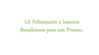 LA Polinización e Insectos
Beneficiosos para este Proceso.
 