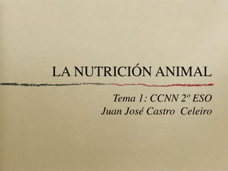 LA NUTRICIÓN ANIMAL
        Tema 1: CCNN 2º ESO
      Juan José Castro Celeiro
 
