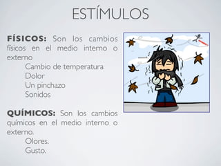 ESTÍMULOS
FÍSICOS: Son los cambios
físicos en el medio interno o
externo
       Cambio de temperatura
       Dolor
       Un pinchazo
       Sonidos

QUÍMICOS: Son los cambios
químicos en el medio interno o
externo.
     Olores.
     Gusto.
 