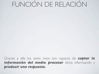 FUNCIÓN DE RELACIÓN




Gracias a ella los seres vivos son capaces de captar la
información del medio, procesar dicha información y
producir una respuesta.
 