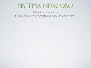 SISTEMA NERVIOSO
           Elabora la respuesta.
Comunica a los receptores con los efectores.
 
