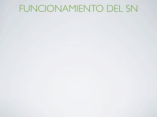 FUNCIONAMIENTO DEL SN
 