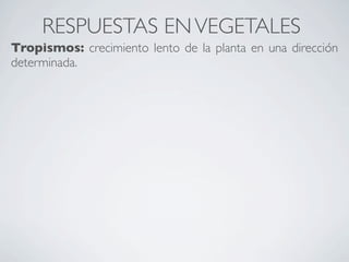 RESPUESTAS EN VEGETALES
Tropismos: crecimiento lento de la planta en una dirección
determinada.
 
