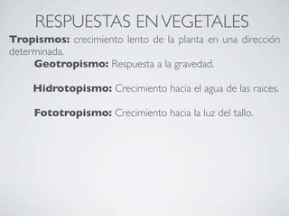 RESPUESTAS EN VEGETALES
Tropismos: crecimiento lento de la planta en una dirección
determinada.

    Geotropismo: Respuesta a la gravedad.

     Hidrotopismo: Crecimiento hacia el agua de las raices.


    Fototropismo: Crecimiento hacia la luz del tallo.
 