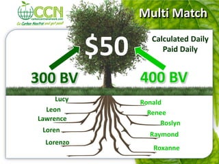 Multi Match

            $50      Calculated Daily
                        Paid Daily


300 BV            400 BV
     Lucy         Ronald
  Leon              Renee
Lawrence
                        Roslyn
 Loren
                    Raymond
  Lorenzo
                     Roxanne
 