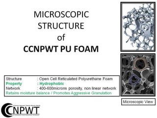 info@npwtindia.com

Contact: +91 9971722111

www.npwtindia.com

AN ISO 13485:2003 CERTIFIED COMPANY

 