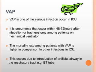  VAP is one of the serious infection occur in ICU
 It is pneumonia that occur within 48-72hours after
intubation or tracheostomy among patients on
mechanical ventilator.
 The mortality rate among patients with VAP is
higher in comparison to other infections in ICU.
 This occurs due to introduction of artificial airway in
the respiratory tract e.g. ET tube
VAP
 