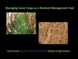 Managing Cover Crops as a Nutrient Management Tool
Joel Gruver Western Illinois University School of Agriculture
 
