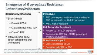 Fdc Rrt CCO_Carbapenem-Resistant_Gram-Negative_Infections_Downloadable_1_v3.pptx