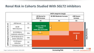 Renal Risk in Cohorts Studied With SGLT2 inhibitors
Kluger. Cardiovascular Diabetol. 2019;18:99. Slide credit: clinicaloptions.com
UACR categories (mg/g)
<30 Normal to
Mild Increase
30-300 Moderate Increase >300 Severe
increase
A1 A2 A3
eGFR
Categories
(mL/min/1.73
m
2
)
≥90 Normal G1
60-89
Mild reduction
G2
Declare TIMI-58
CANVAS
EMPA-REG OUTCOME
45-59 Mild to
moderate reduction
G3a CREDENCE
30-44 Moderate to
severe reduction
G3b
15-29 Severe
reduction
G4
<15 Kidney failure G5
Increasing
Risk
Increasing Risk
 